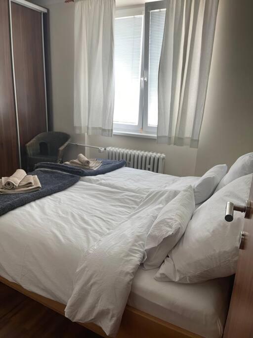 Priestranny 3 Izb. Apartman V Centre S Parkovanim. Besztercebánya Kültér fotó
